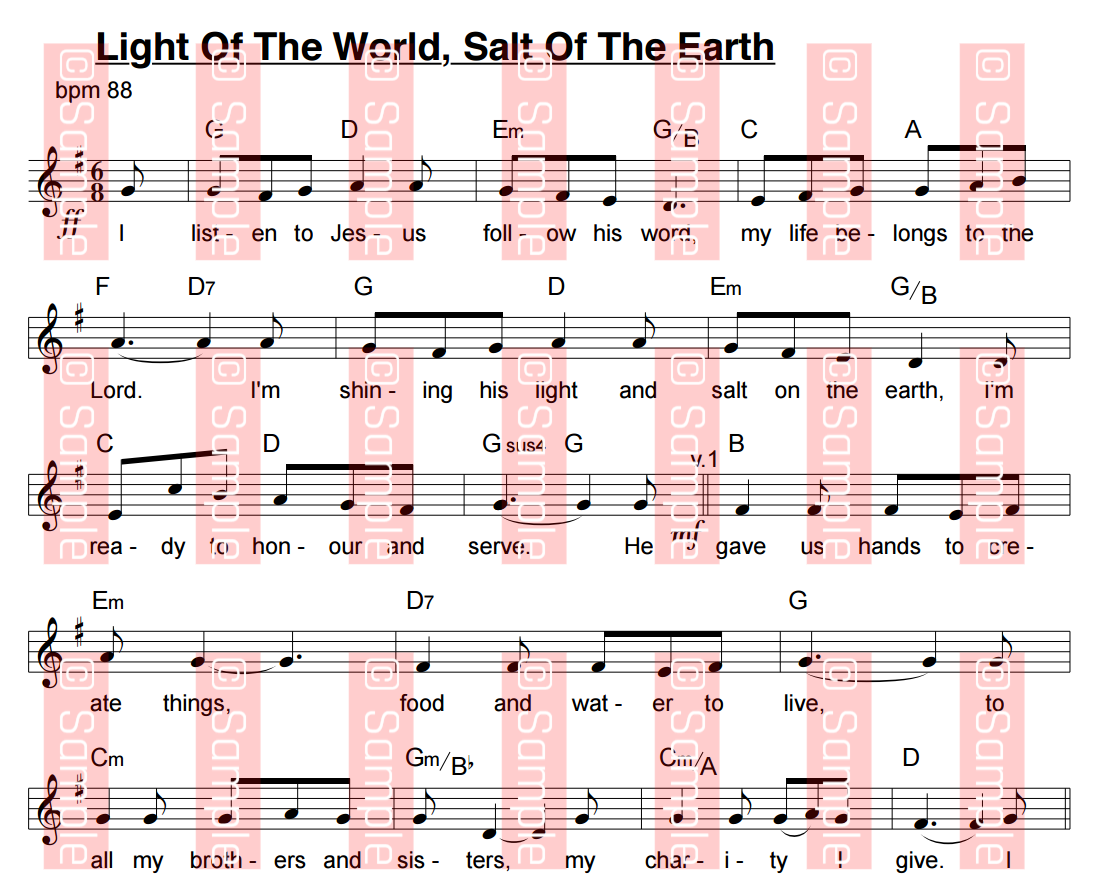 Light Of The World, Salt Of The Earth